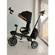 Tricycle with Stroller for Kids