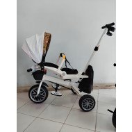 Tricycle with Stroller for Kids