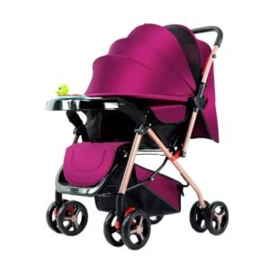 Multifunctional Stroller